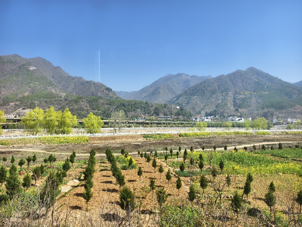 严防严控森林草原火灾危害 坚决维护人民群众生命工业清静
